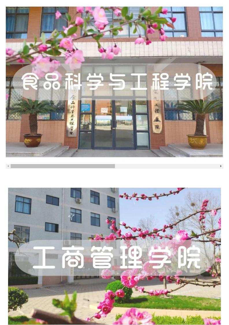 郑州科技学院2022招生简章_34(1).jpg