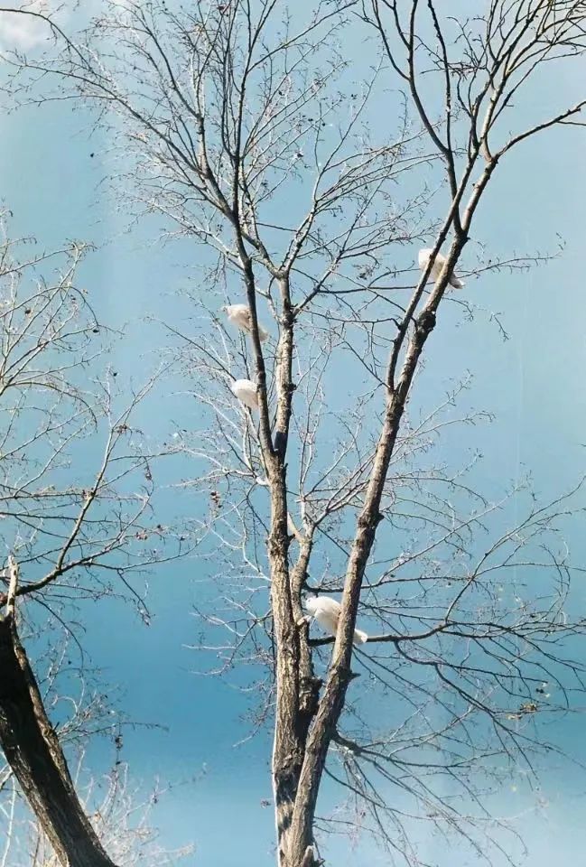 640.jpg