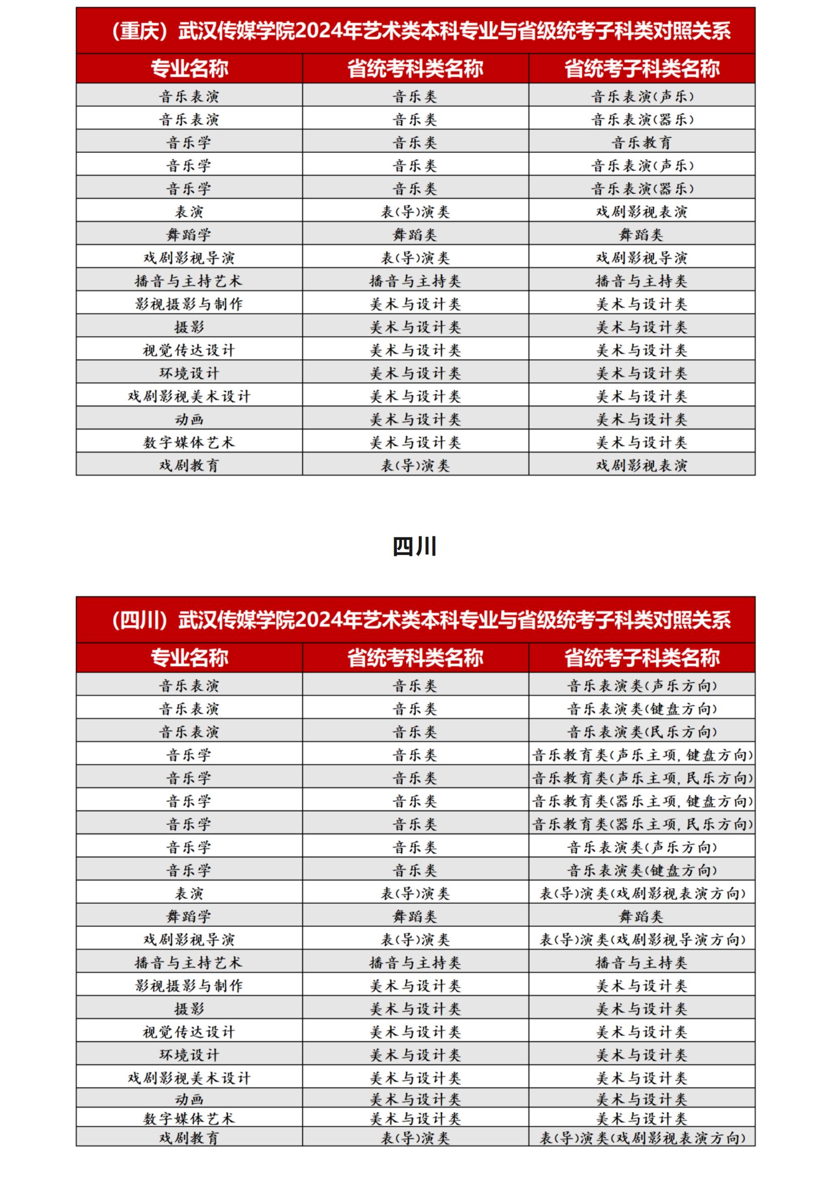 武汉传媒学院2024年艺术类本科专业与省级统考子科类对照关系_11.jpg