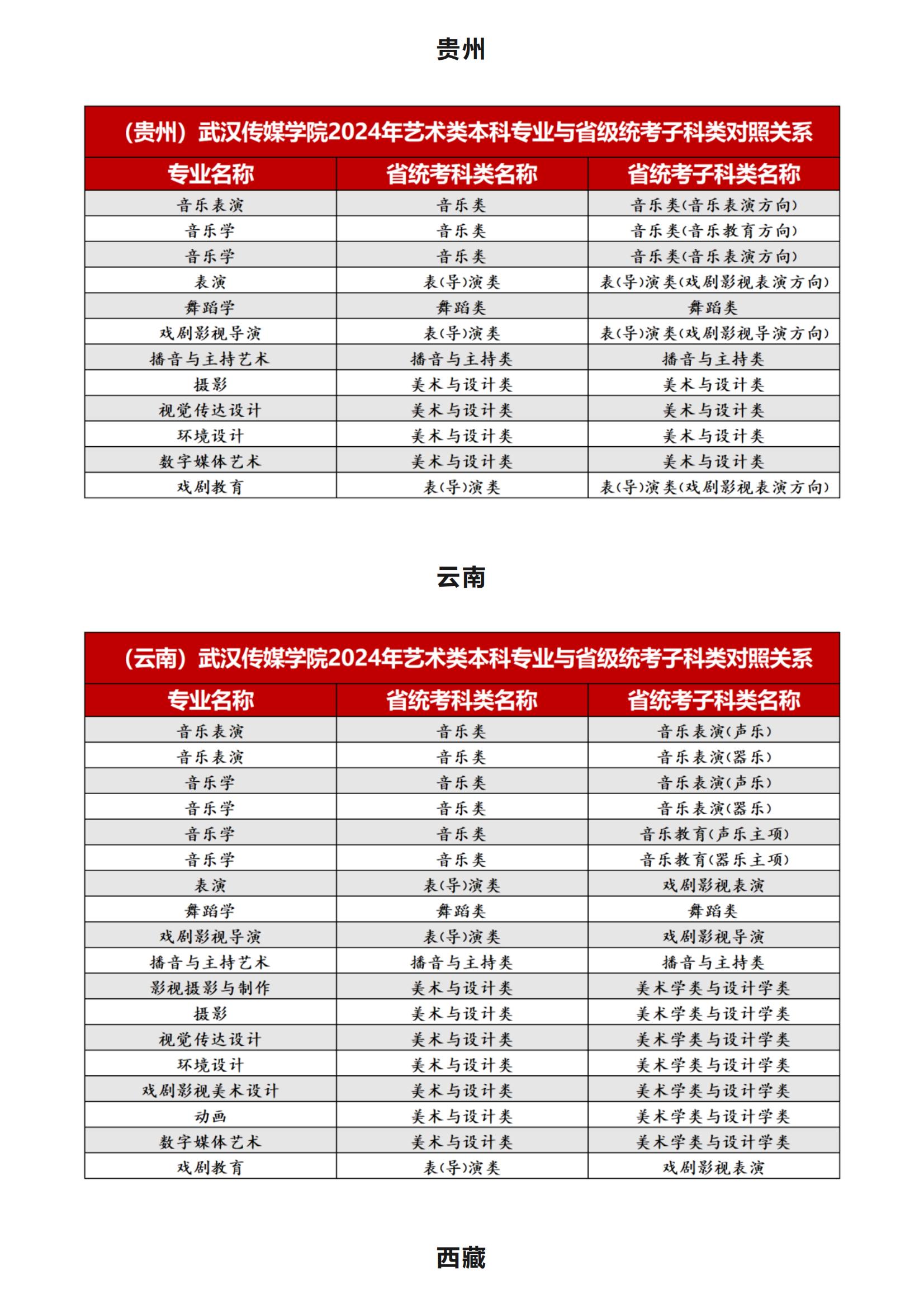 武汉传媒学院2024年艺术类本科专业与省级统考子科类对照关系_12.jpg