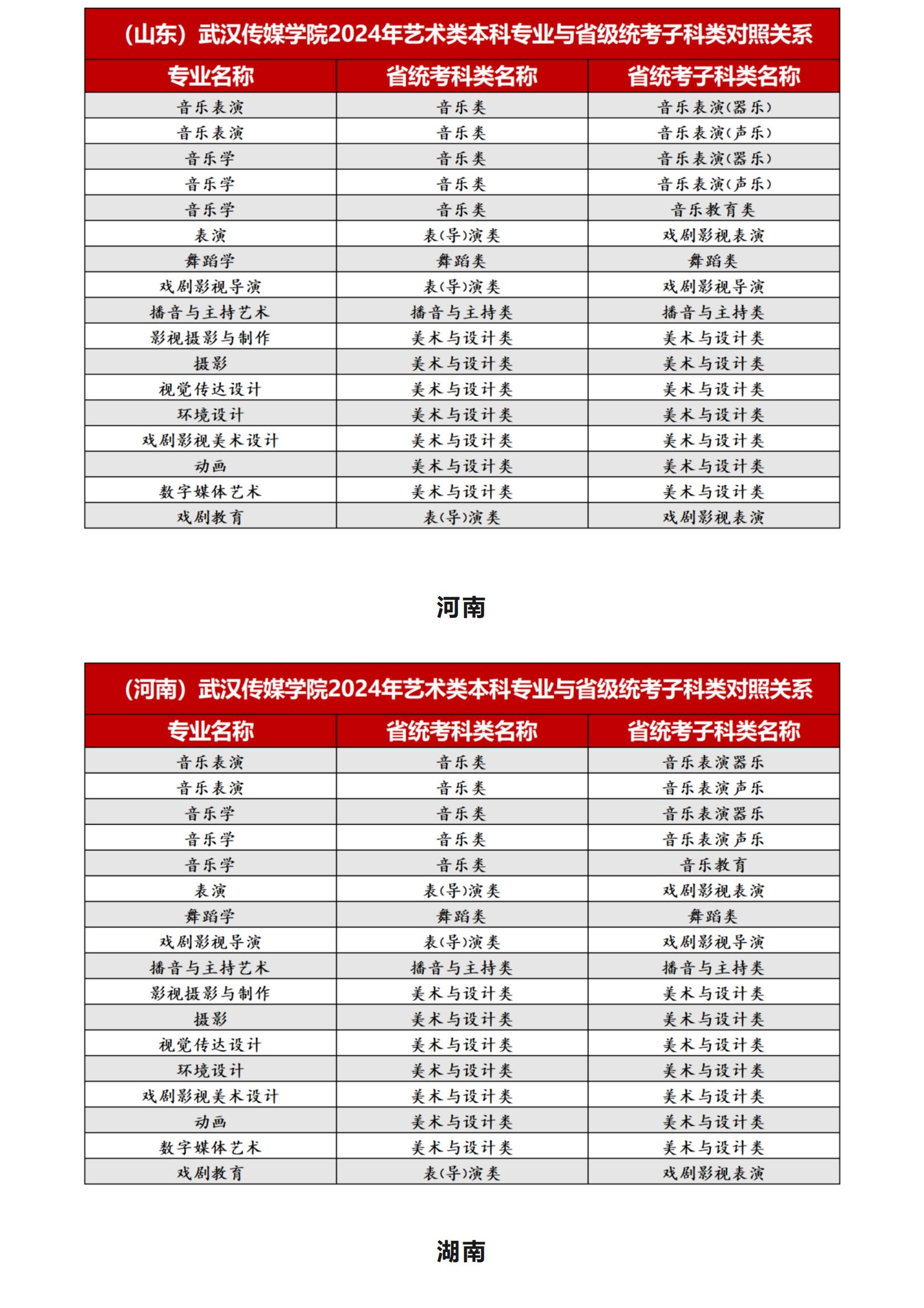 武汉传媒学院2024年艺术类本科专业与省级统考子科类对照关系_08.jpg